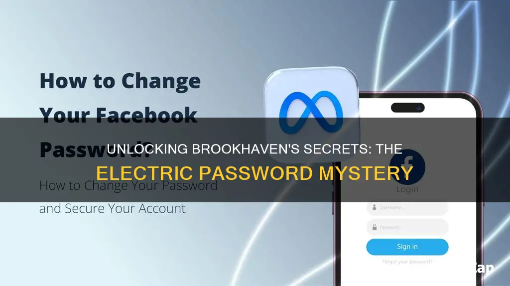 what does the brookhaven electric password do