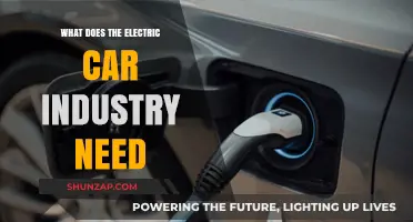 Charging Ahead: Key Needs for Electric Car Industry Growth