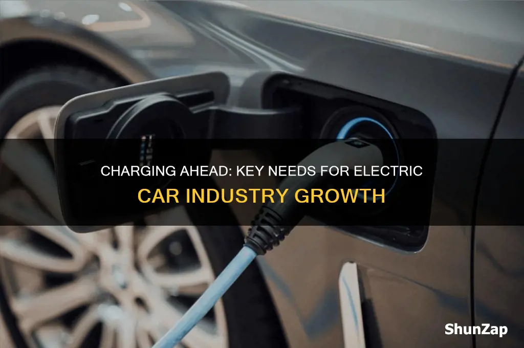 what does the electric car industry need