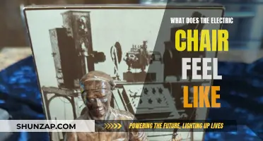 The Electric Chair: A Horrifying Execution Experience