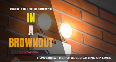 Understanding Brownouts: The Role of Electric Companies During Power Shortages