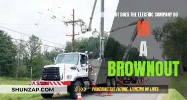 Electric Company's Role During a Brownout Explained