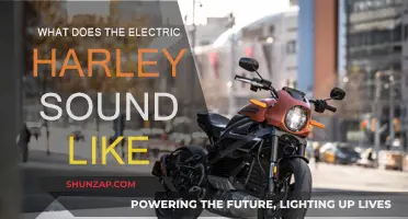 Harley's Electric Future: What's the Sound?