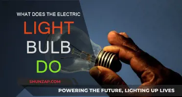 How Electric Light Bulbs Work: Illuminating Your Home