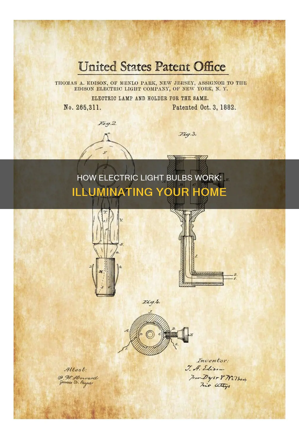 what does the electric light bulb do