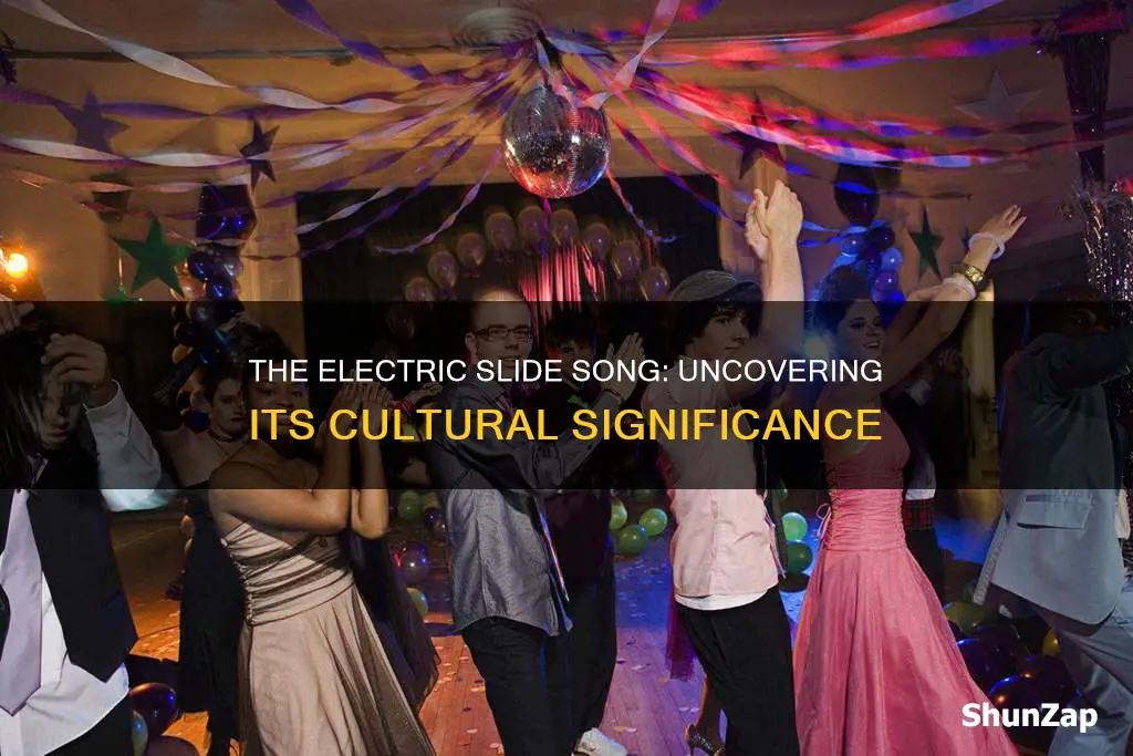 what does the electric slide song mean
