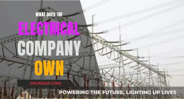 Electrical Company Ownership: What's Under Their Domain?