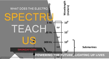The Electromagnetic Spectrum: Unveiling Nature's Secrets