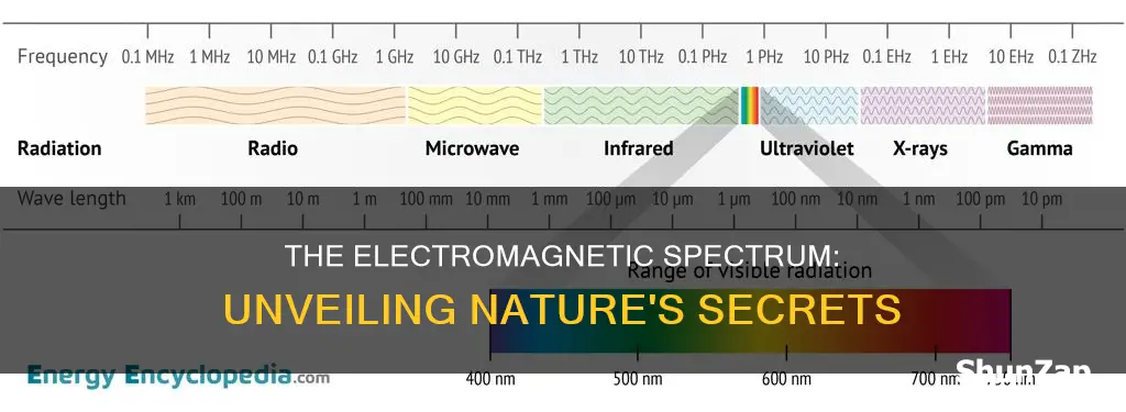 what does the electro spectrum teach us
