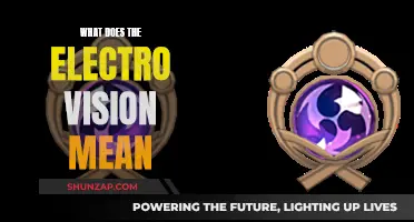The Future of Vision: Electro Vision Explained