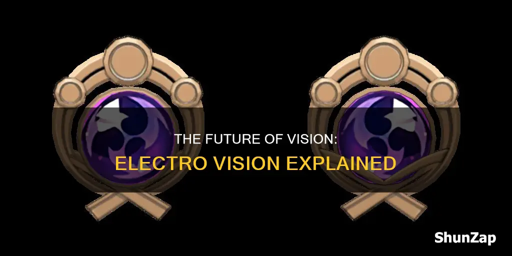 what does the electro vision mean