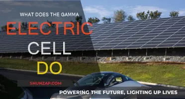 Unveiling the Gamma Electric Cell's Intriguing Functionality