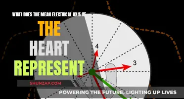 Electrical Axis of the Heart: What Does it Mean?