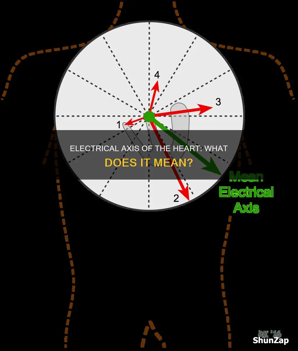 what does the mean electrical axis of the heart represent