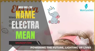 Electra: Unveiling the Intriguing Meaning and Origin of the Name