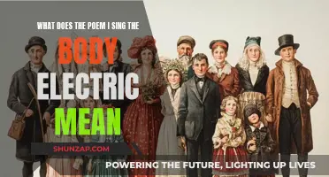 Understanding "I Sing the Body Electric": A Poetic Celebration