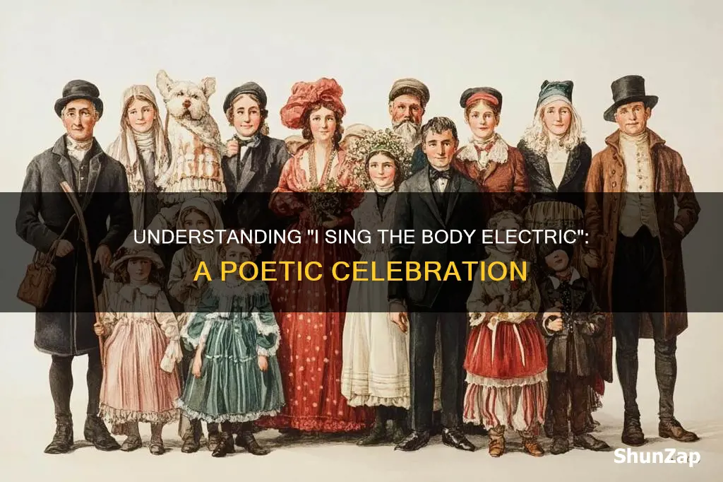 what does the poem i sing the body electric mean