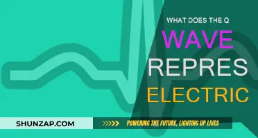 Q Wave: Electrical Depiction of Heart's Story