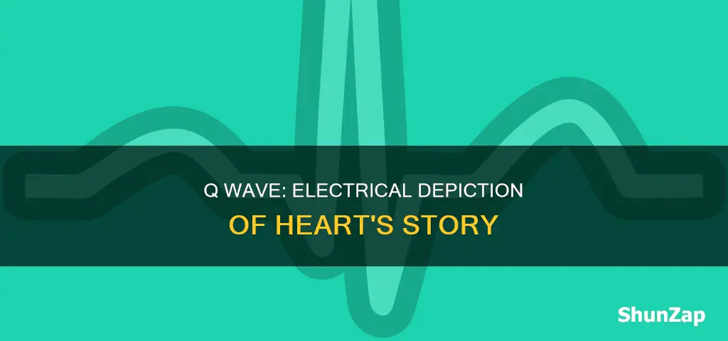 what does the q wave represent electrically