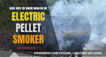 Understanding Electric Smoker Smoke: Quality and Flavor Secrets
