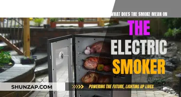 Understanding Electric Smoker Smoke: Quality and Flavor Secrets