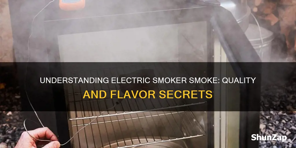 what does the smoke mean on the electric smoker
