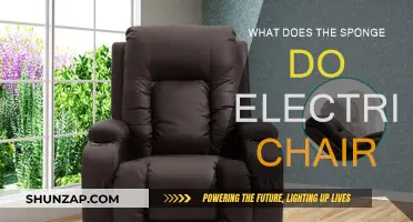 The Sponge's Role in Electric Chair Executions
