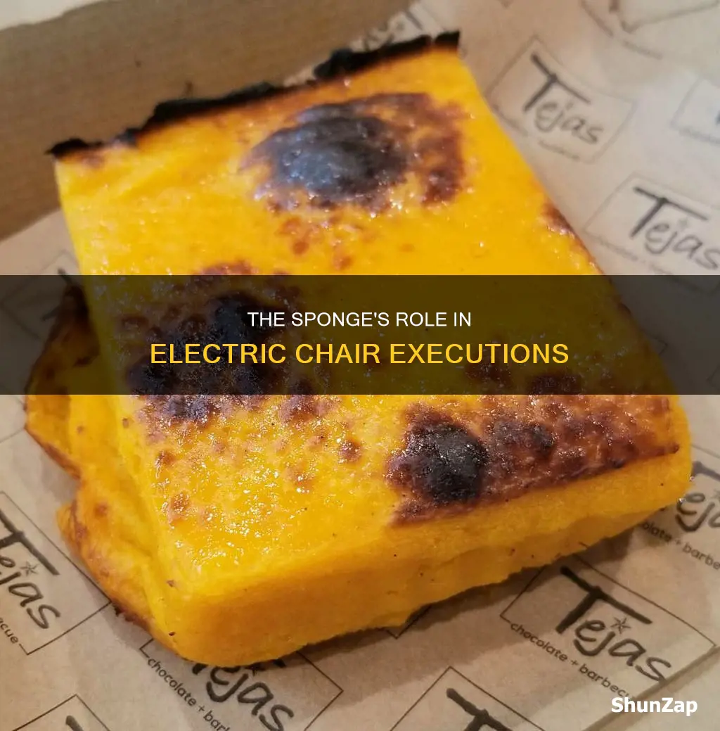 what does the sponge do electric chair
