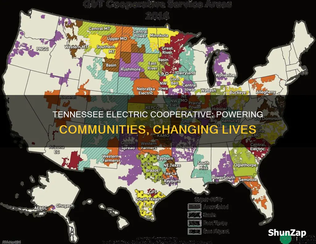 what does the tennessee electric cooperative do