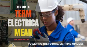 Understanding the Meaning of "Electrica": An In-Depth Exploration