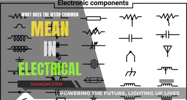 The Intricacies of 'Common' in Electrical Terminology