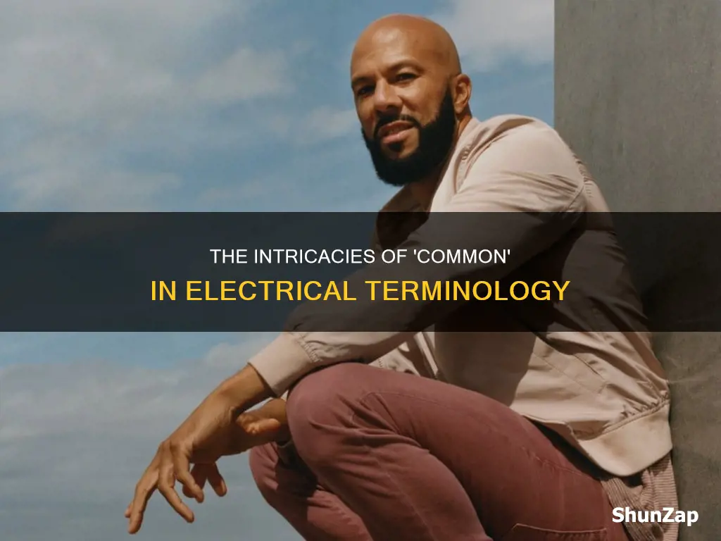 what does the word common mean in electrical