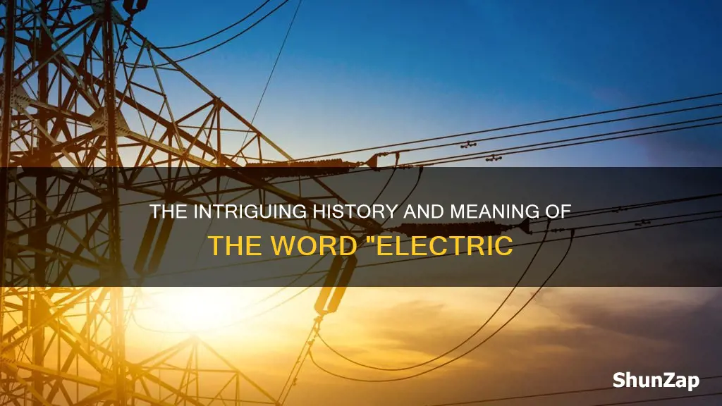 what does the word electric mean