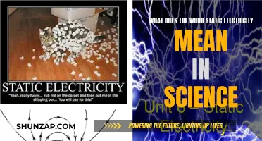 Static Electricity: Understanding the Science Behind the Spark