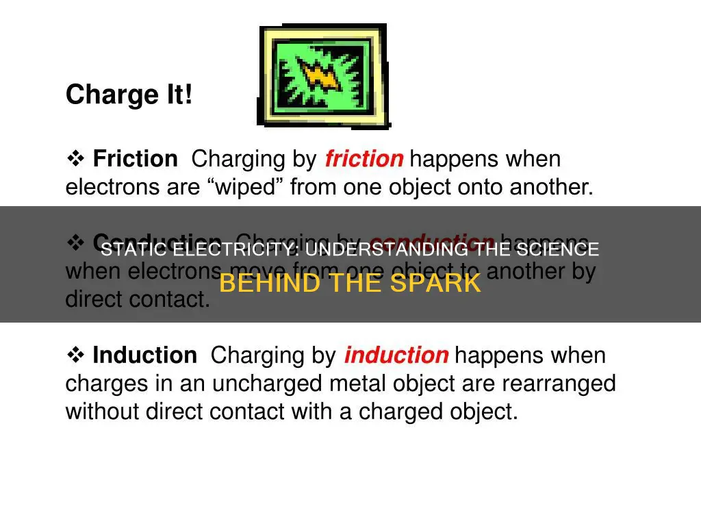 what does the word static electricity mean in science