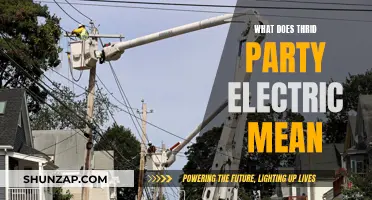 Understanding Third-Party Electric: Who's Involved and How?