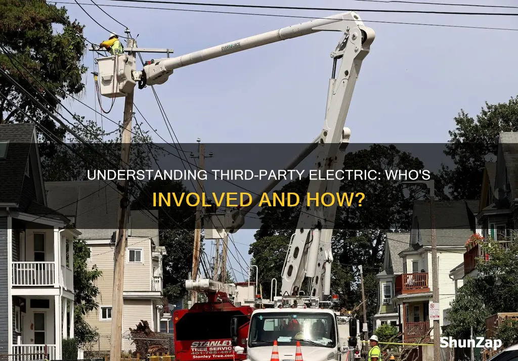 what does thrid party electric mean