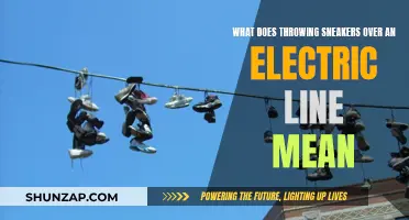 The Mystery of Sneakers: Electric Wire Lore
