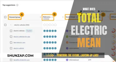 The Future of Electric Cars: Total Electric Explained