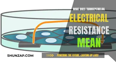 Understanding Transepithelial Electrical Resistance: A Comprehensive Guide