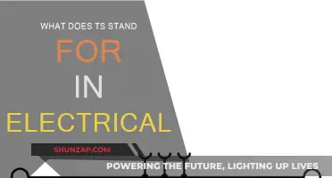 Understanding Electrical TS: What Does It Mean?