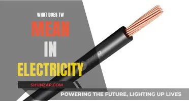Electricity's TW: Understanding the Power of a Twiddle