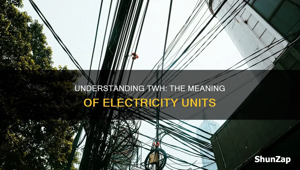 what does twh stand for in electricity