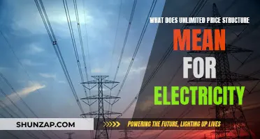 Electricity Pricing: Understanding the Unlimited Price Structure
