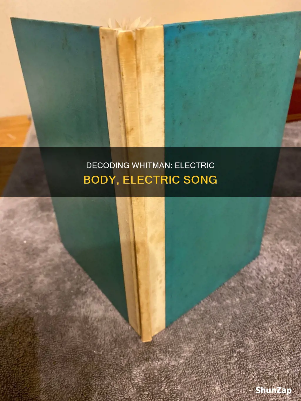 what does walt whitman mean i sing the body electric