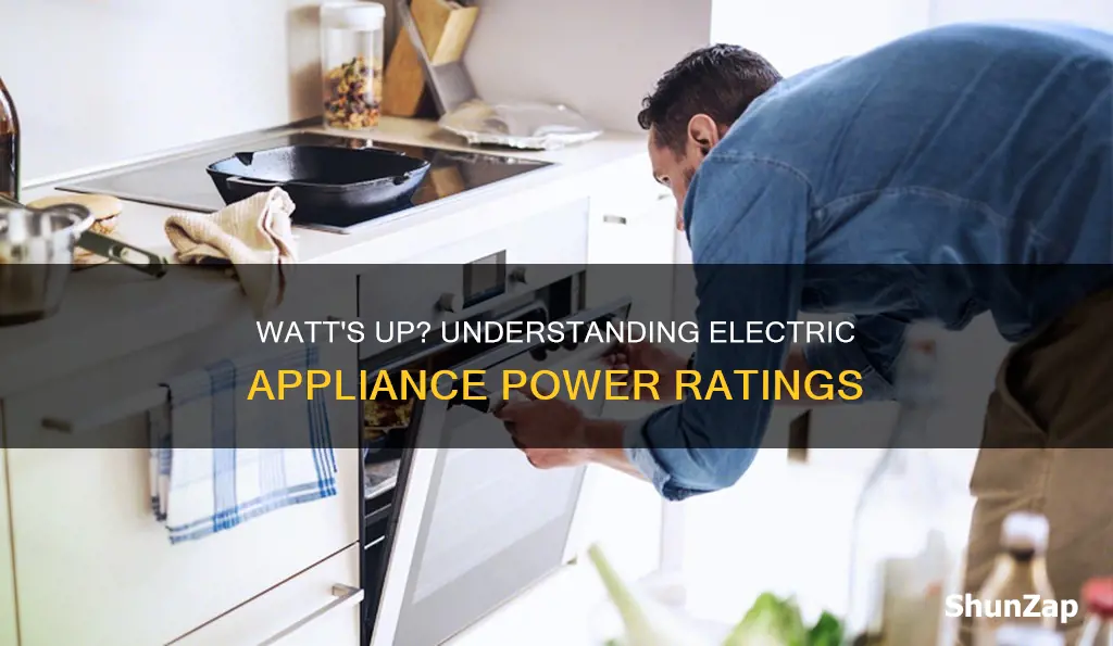 what does watt mean in electric appliances