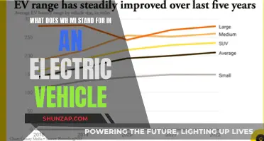 Unraveling the Mystery: WH MI in Electric Vehicles