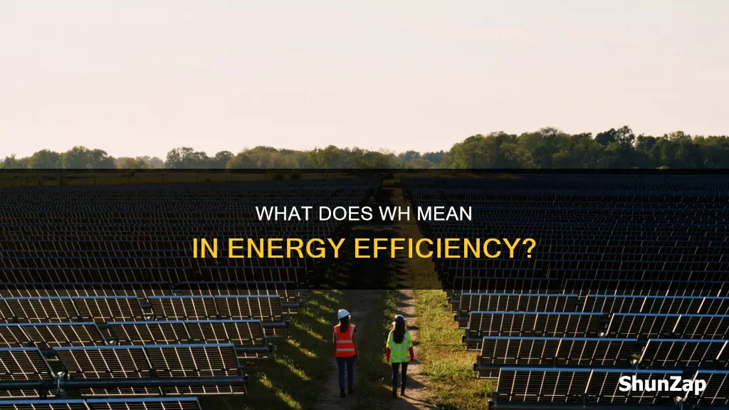 what does wh stand for in electricity