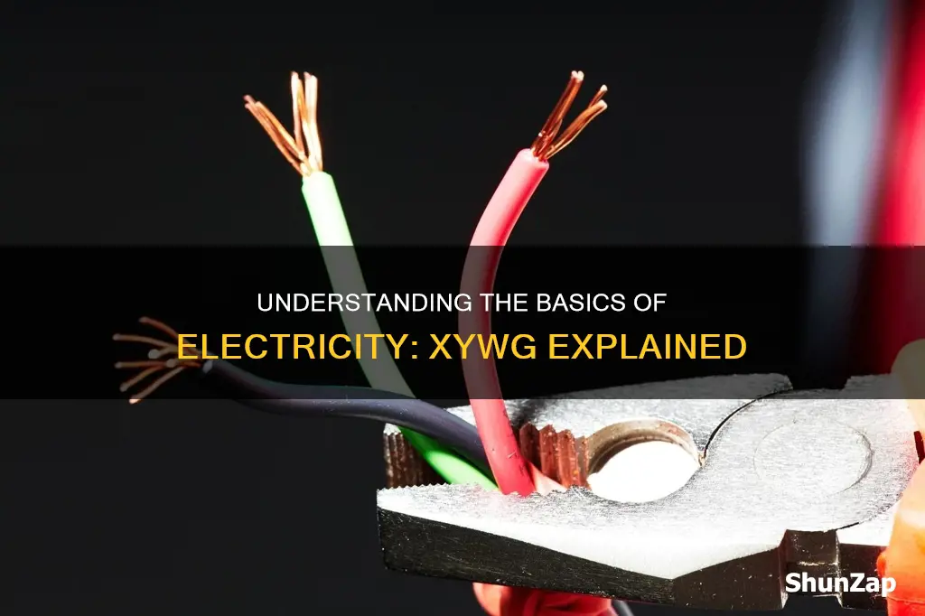 what does x y w g mean for electricity