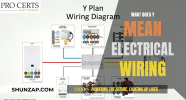 Understanding the Significance of 'Y' in Electrical Wiring